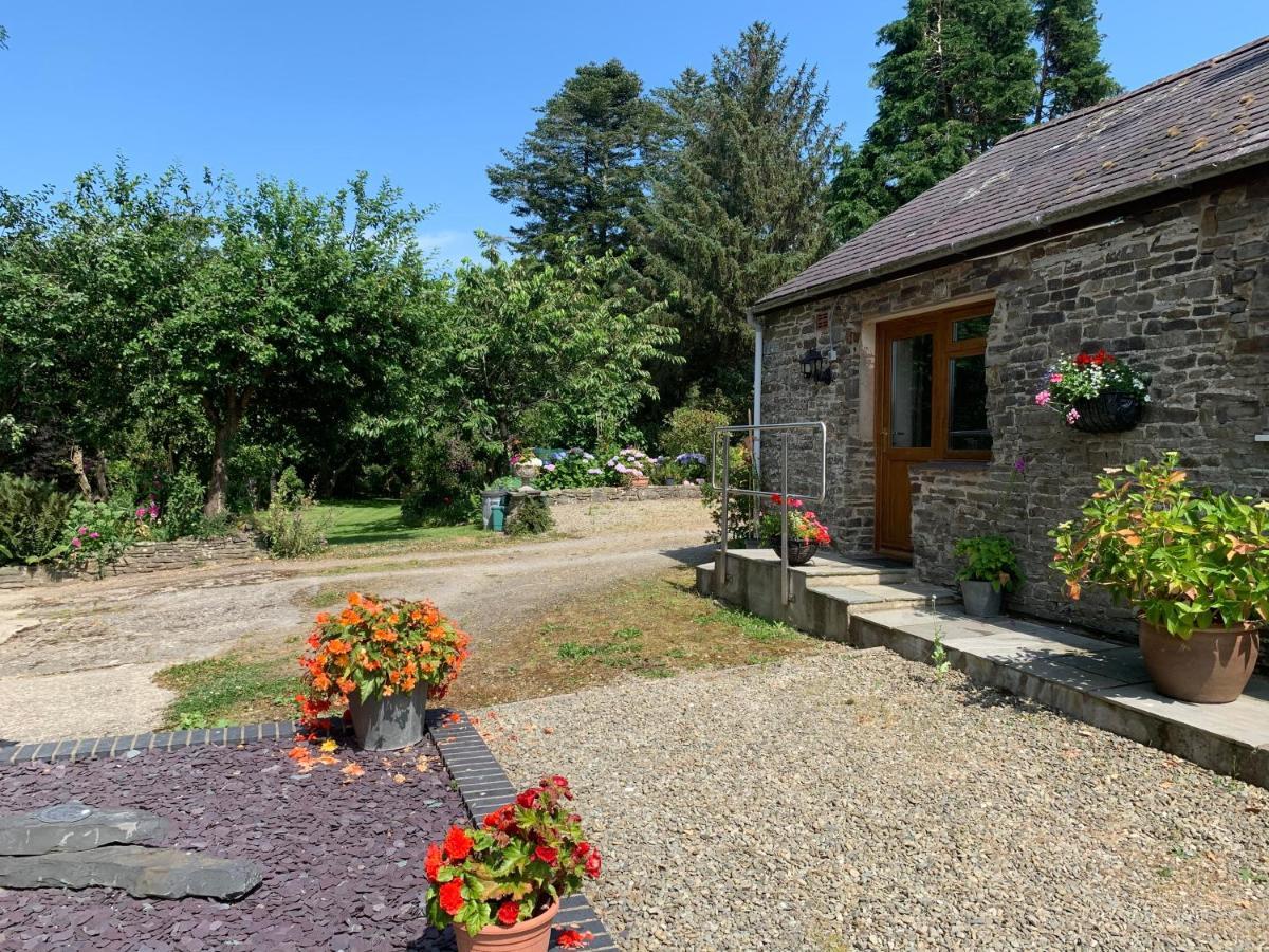 Parc Farm B&B Llanarth  Εξωτερικό φωτογραφία