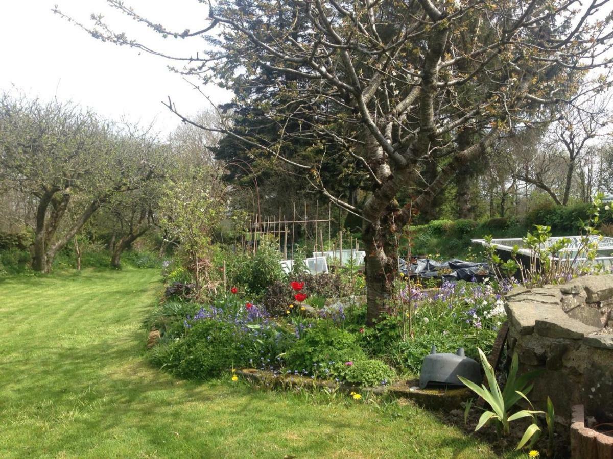 Parc Farm B&B Llanarth  Εξωτερικό φωτογραφία